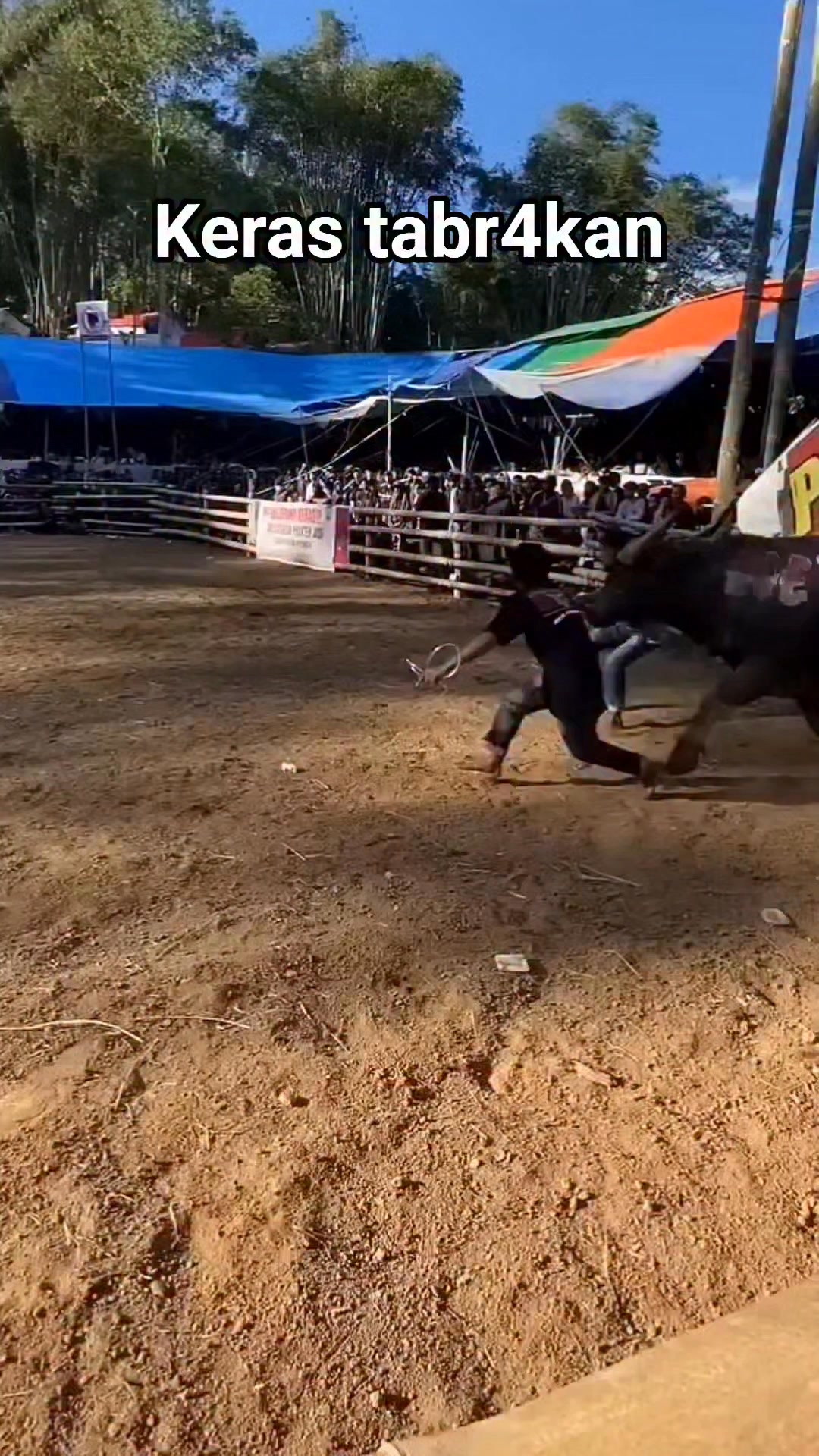 Tarian unik toraja ma' randing,toraja tempoe doloe. #reelsviral # ...