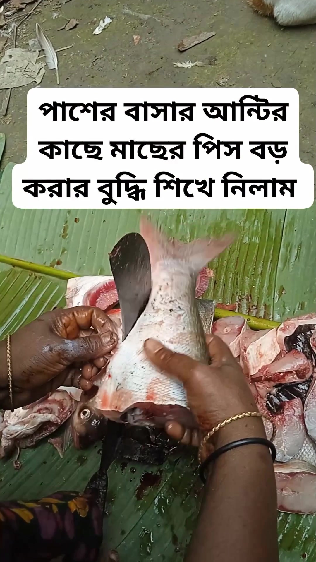 পাশের বাসার আন্টির কাছে মাছের পিস বড় করার বুদ্ধি শিখে নিলাম | Muntahar
