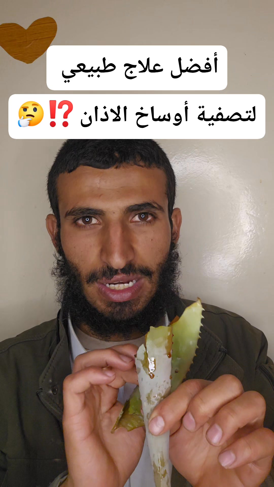 أفضل علاج طبيعي للاذان يصفي وسخ الاذان كامل شجرة السقل او الصبر الذي ...