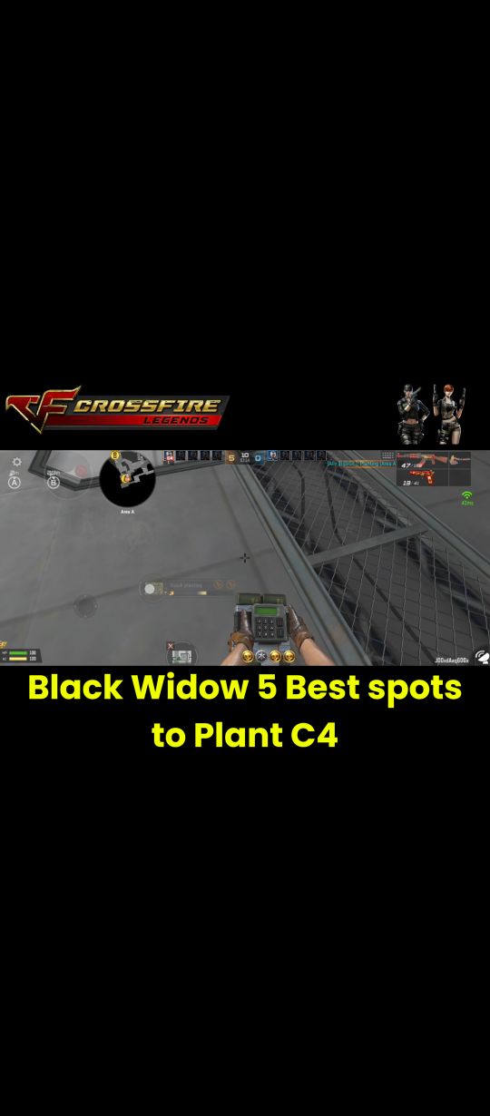 Planting C4, top 5 best spot 