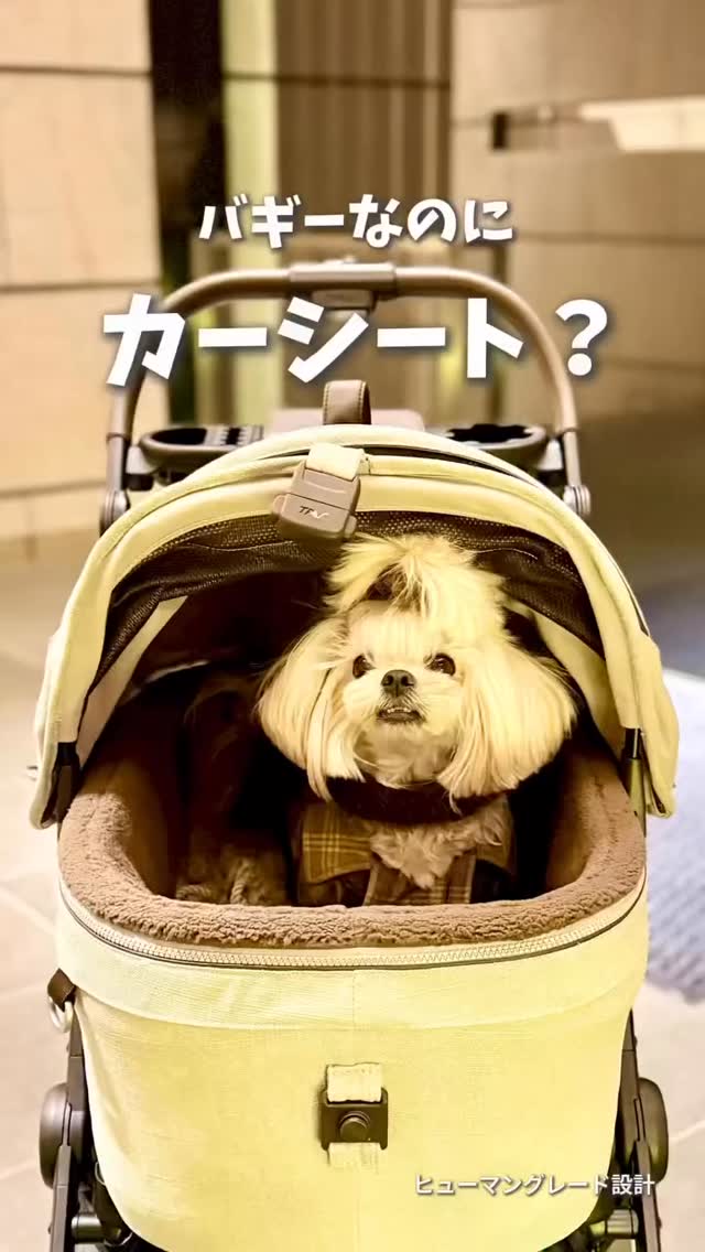 大谷選手のデコピンでも話題のTAVO。 バギーなのに、車では 座席に