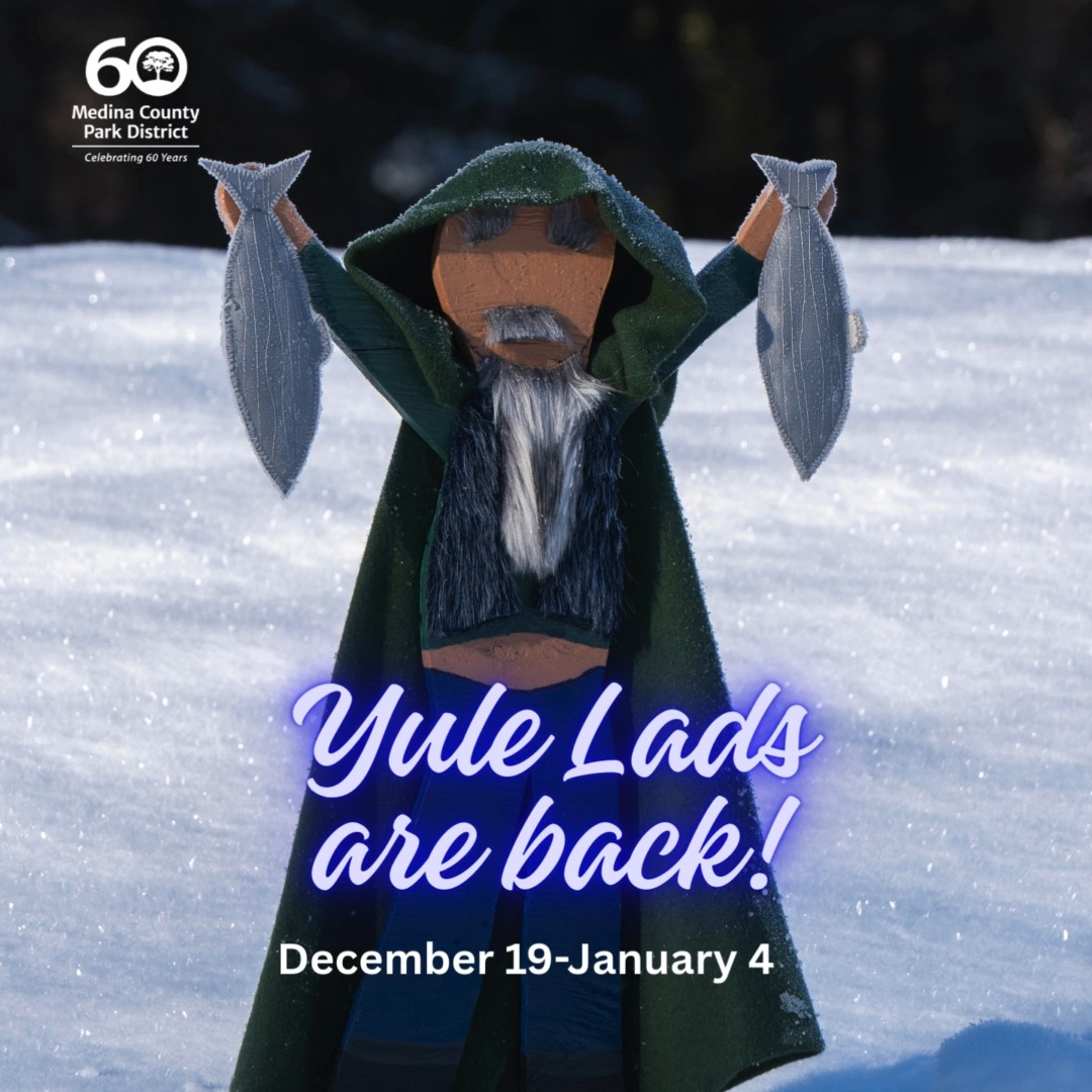 Starting on Friday, December 19, the Yule Lads are at it again! Their ...