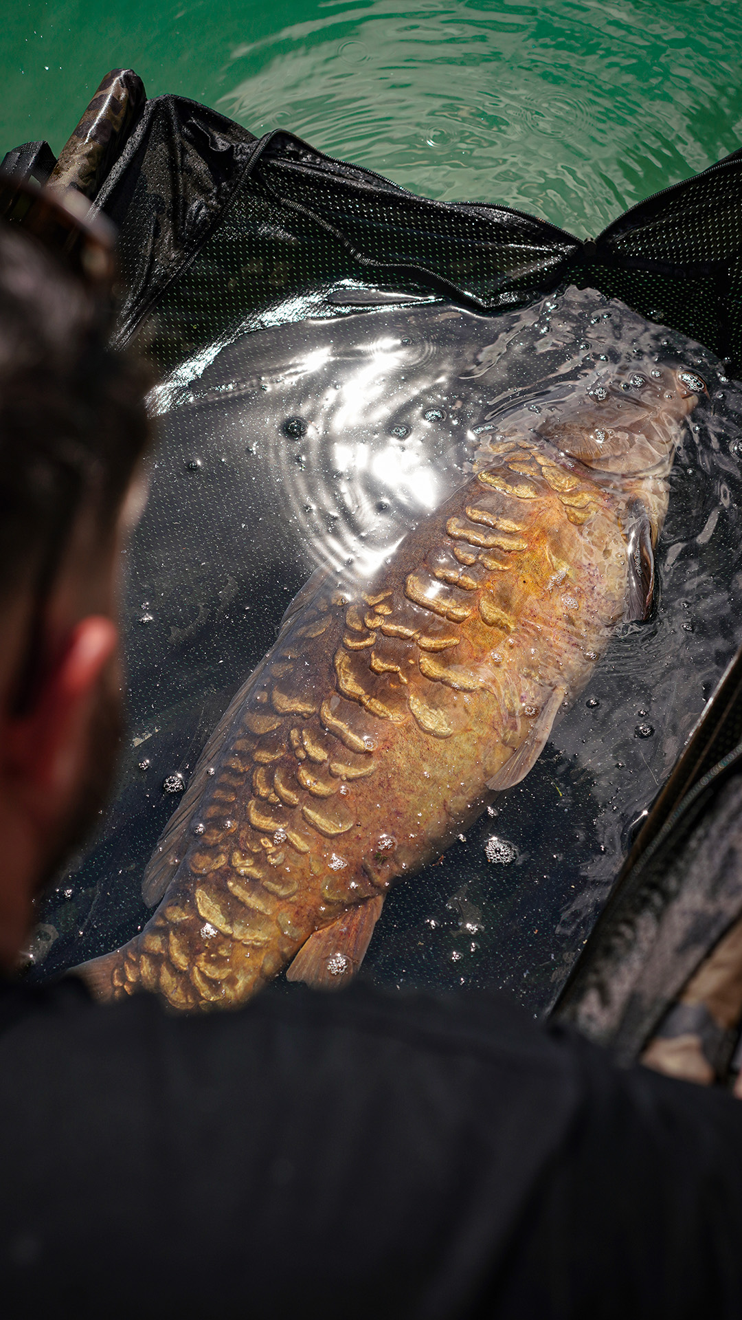 15 Years Later… Tom Maker returns to Gigantica! 🎥💚🐋 . The iconic ...