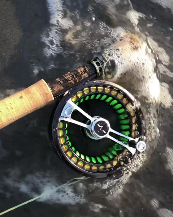 can freshwater reels be used in saltwater Sougayilang Spinning 10000 Series Carp Fishing Reels, CNC Aluminum Spool Fishing Reels for Saltwater Freshwater-11000 : Sports & Outdoors saltwater use okay? or freshwater