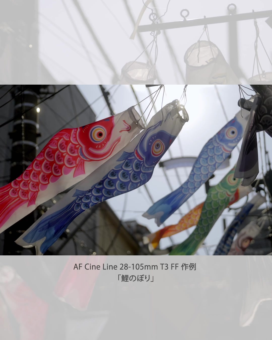 フジヤカメラ店 on Reels