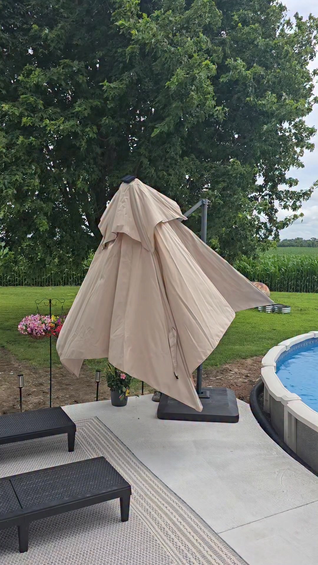 butterfly freedom umbrella perfect patio PURPLE LEAF Market with Base 15ft Double-Sided Taupe Set this in your garden or yard for wondrous color after the sun goes down Frankford Umbrellas Eclipse Commercial Cantilever