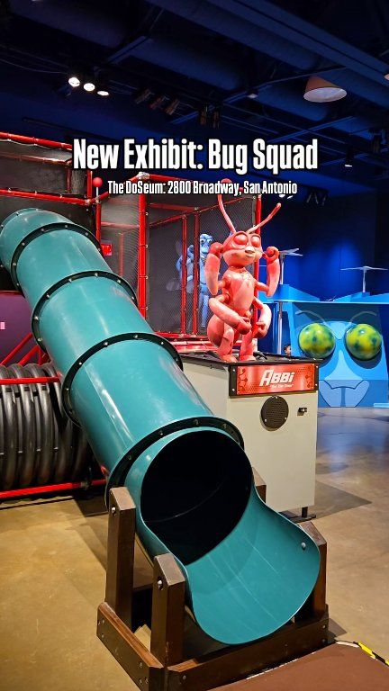 🪲 BUG LOVERS Don’t Miss This Before It’s Gone! The Bug Squad is ...