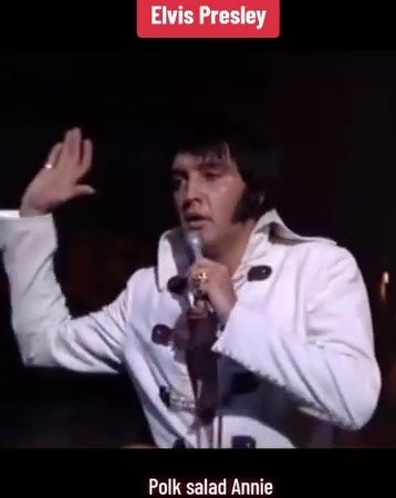 Elvis Presley Polk Salad Annie 7インチ Elvis Presley – Polk Salad