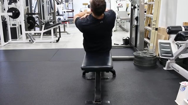 Cybex unique ABs Bench. Please take note of the foot-release to