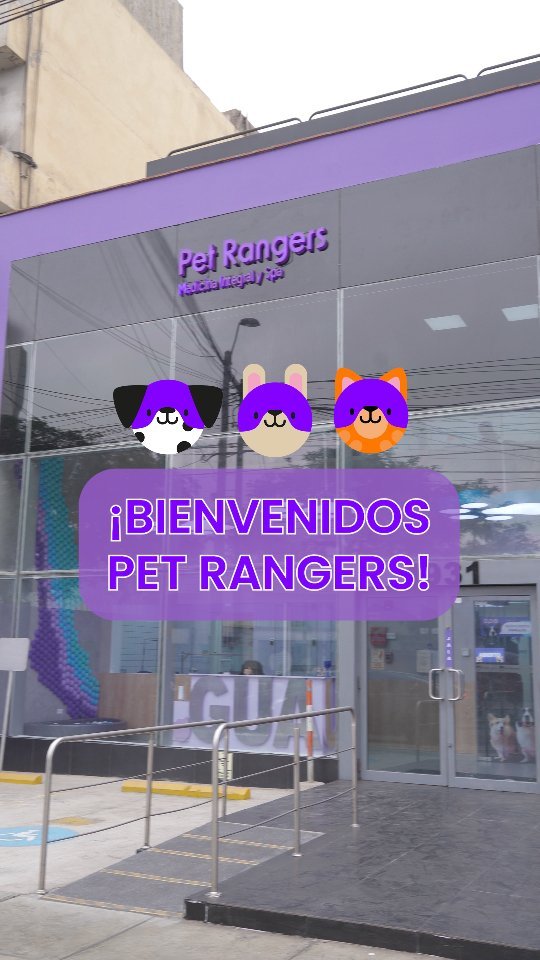 Pet Rangers | Miraflores, Lima