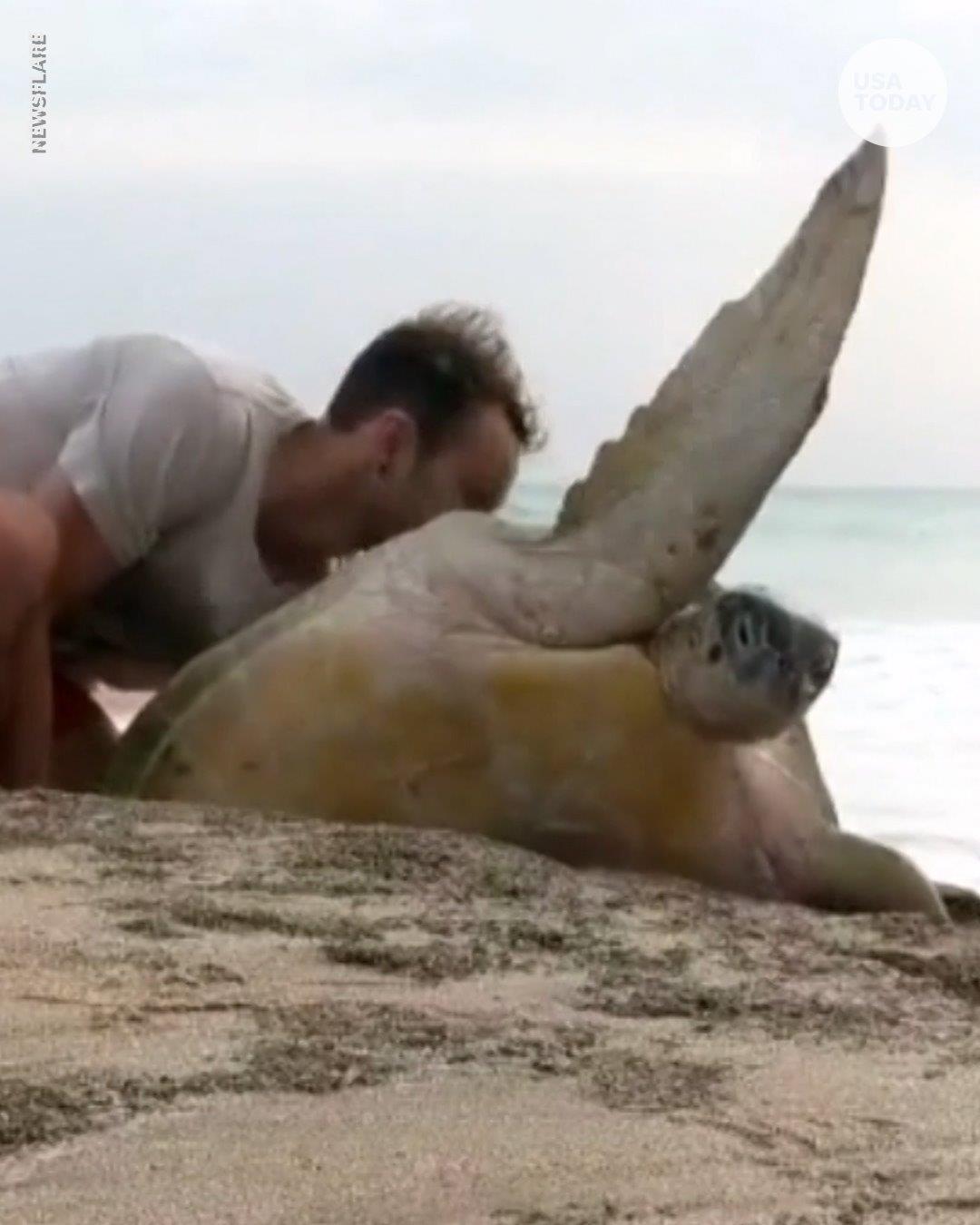Poor turtle. thanks to this wonderful... - Earth & Water Pets | Facebook