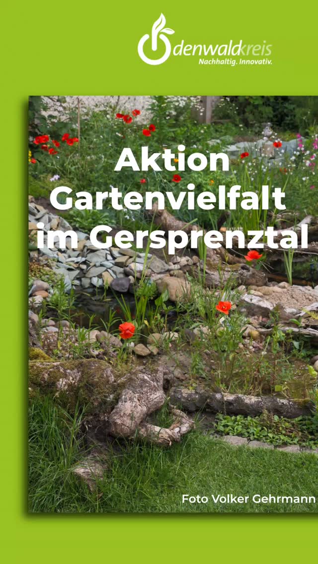 🌻🌺🐝🪴 Das Wochenende steht vor der Tür und damit auch unsere Aktion Gartenvielfalt. Heute stellen wir euch gerne den fünften Garten im Gersprenztal vor, der für Besucherinnen und Besucher geöffnet ist.