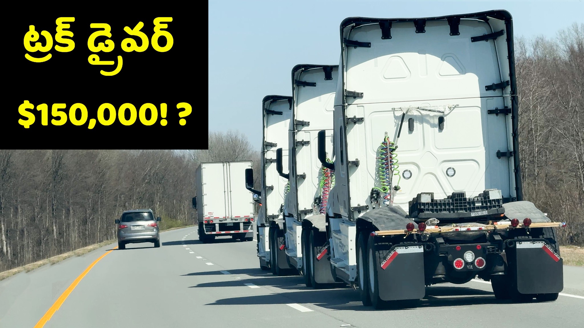 ట్రక్ డ్రైవర్ జీతం సాఫ్ట్‌వేర్ ఇంజనీర్ తో సమానం! 🇺🇸 Telugu vlogs: High ...
