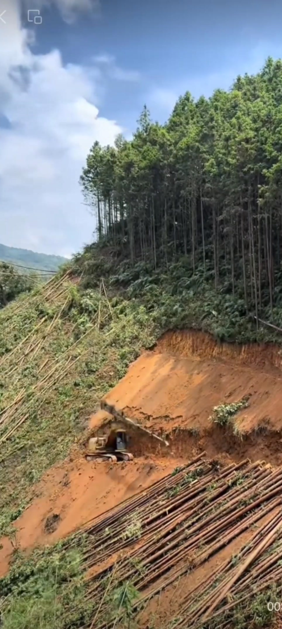 Look! How hard working the forestry telescopic arm is. #log crane# ...