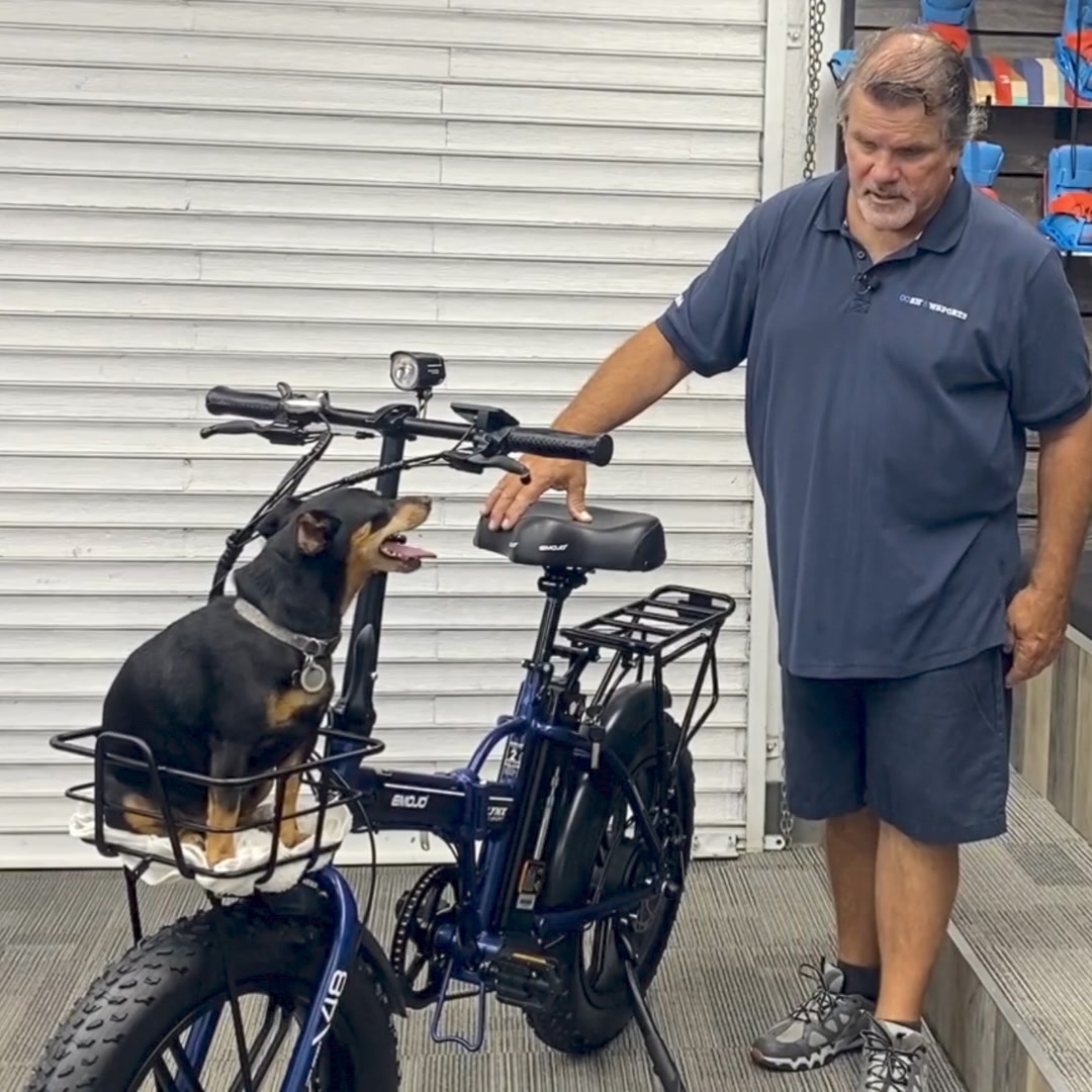 emojo lynx folding electric bicycle 500W E-Bike ⚡ Electrify your ride with