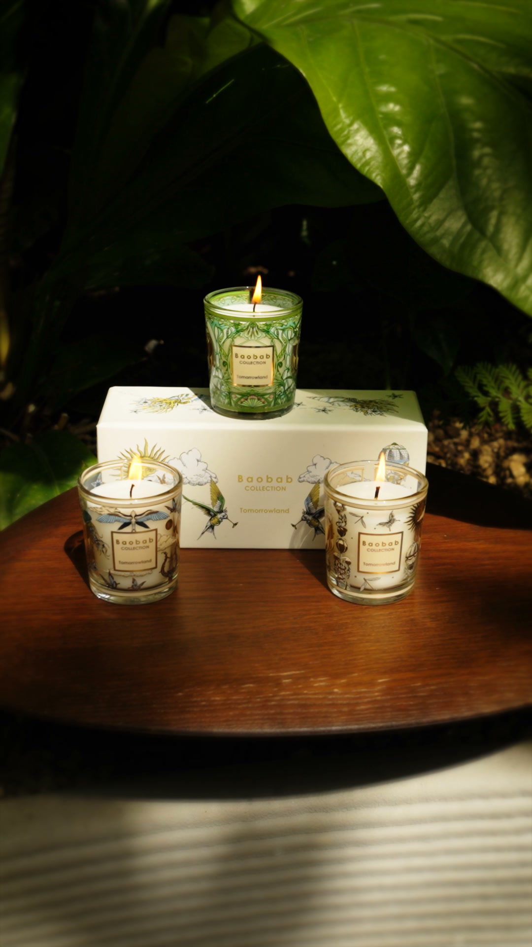 Baobab - Black Pearls and White Pearls, two timeless icons