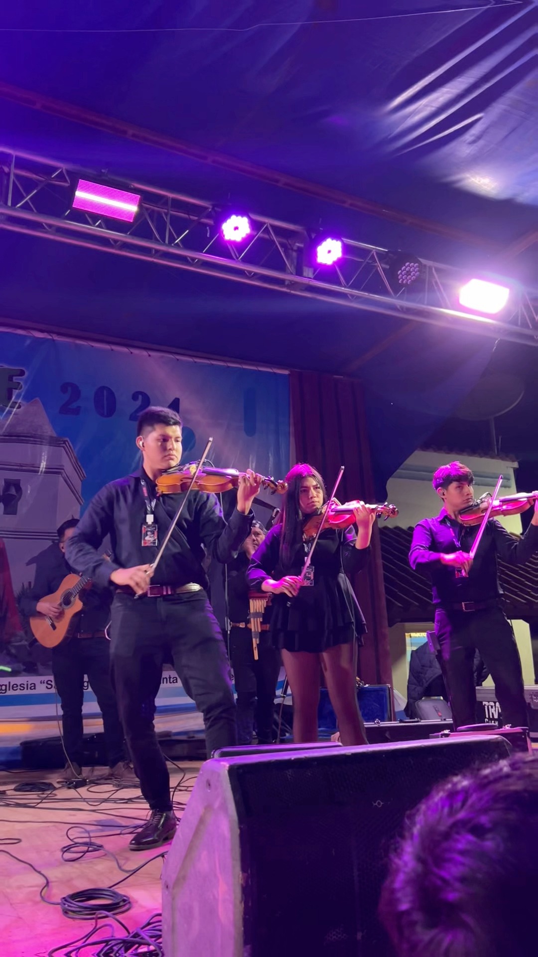 Viejo Ladrón - El Bagualito (Audio en Vivo) 2025 | 🎶 