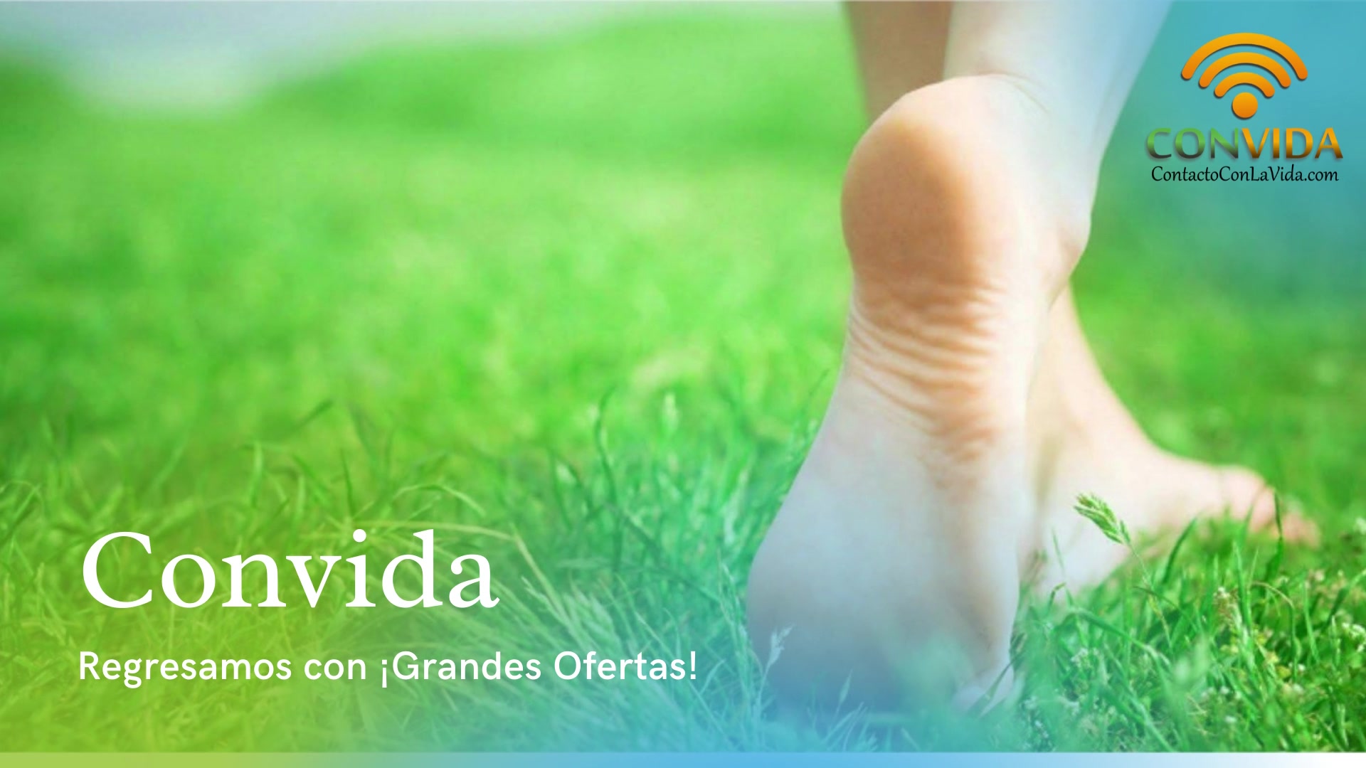 TV Convida 11
