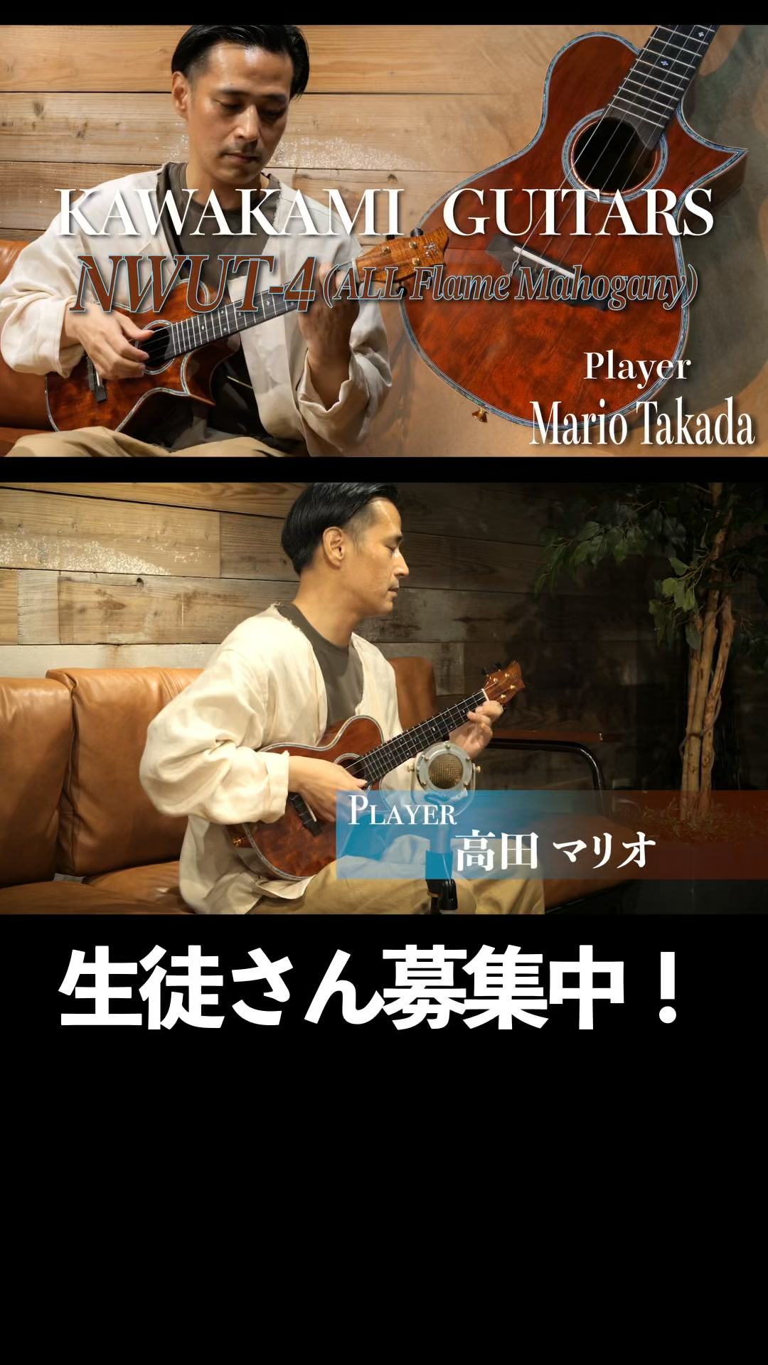 Dolphin Guitars(ドルフィンギターズ） | Suita-shi Osaka