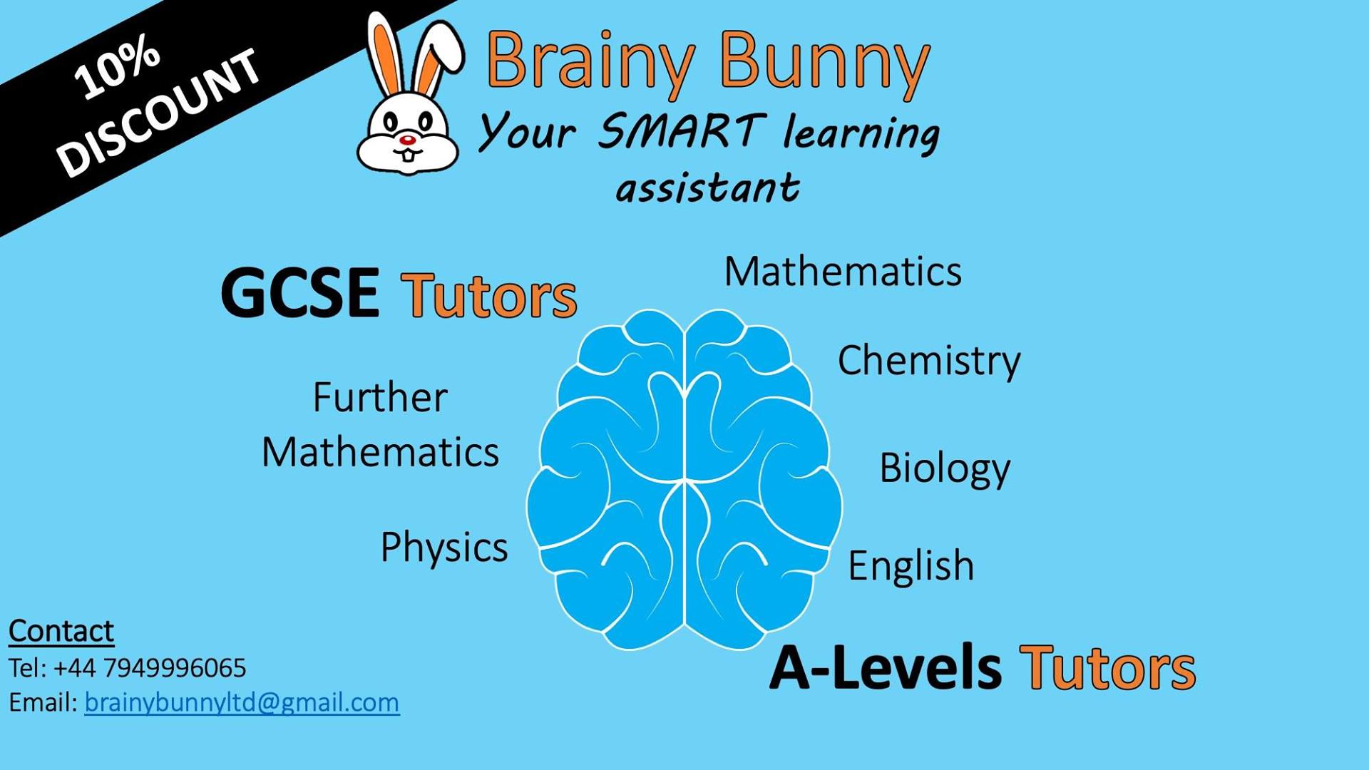 Brainy Bunny
