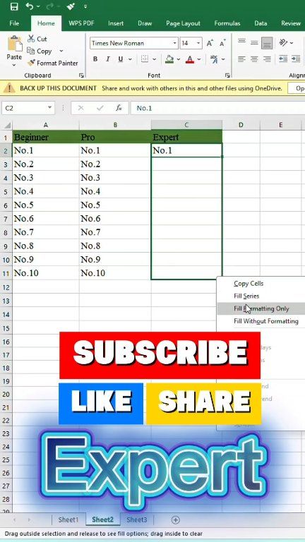 Enter Numbers in Excel Like a Beginner, Pro & Expert | Smart Data Entry ...