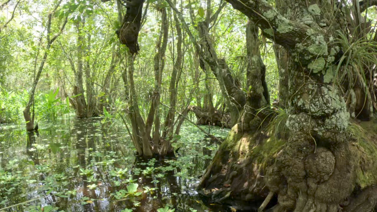 It’s #NationalParksWeek, so we hope you go out and discover National ...