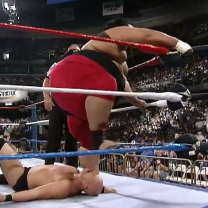 The nWo brought their rebellion to WWE in 2002, immediately