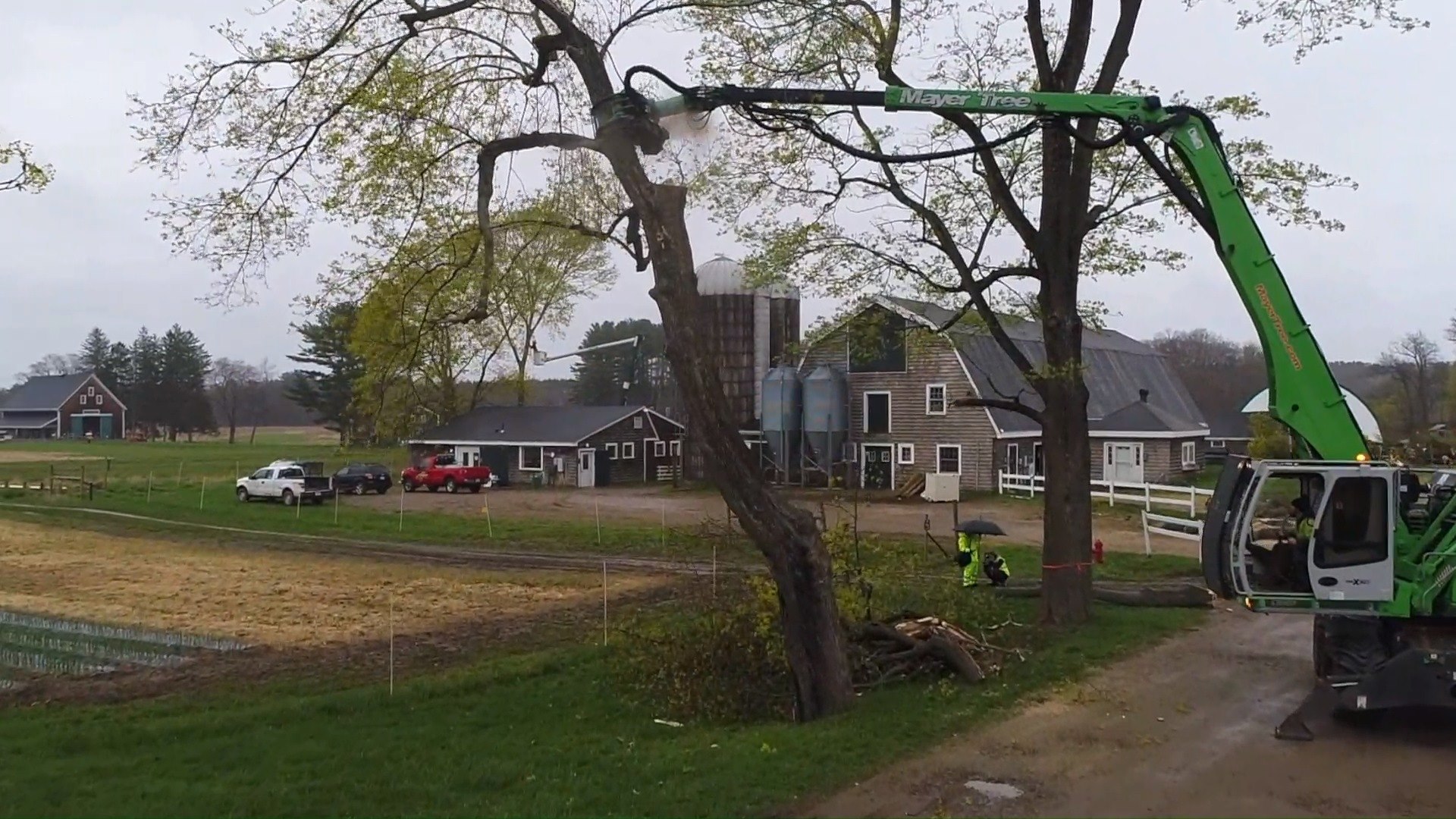 Mayer Tree Service Home Facebook
