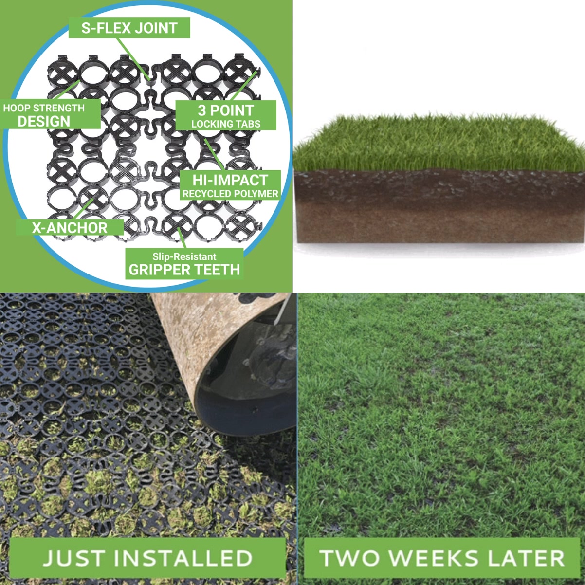 🚨Receive Grass stabilization without excavation with TRUEGRID ROOT 💯 ...