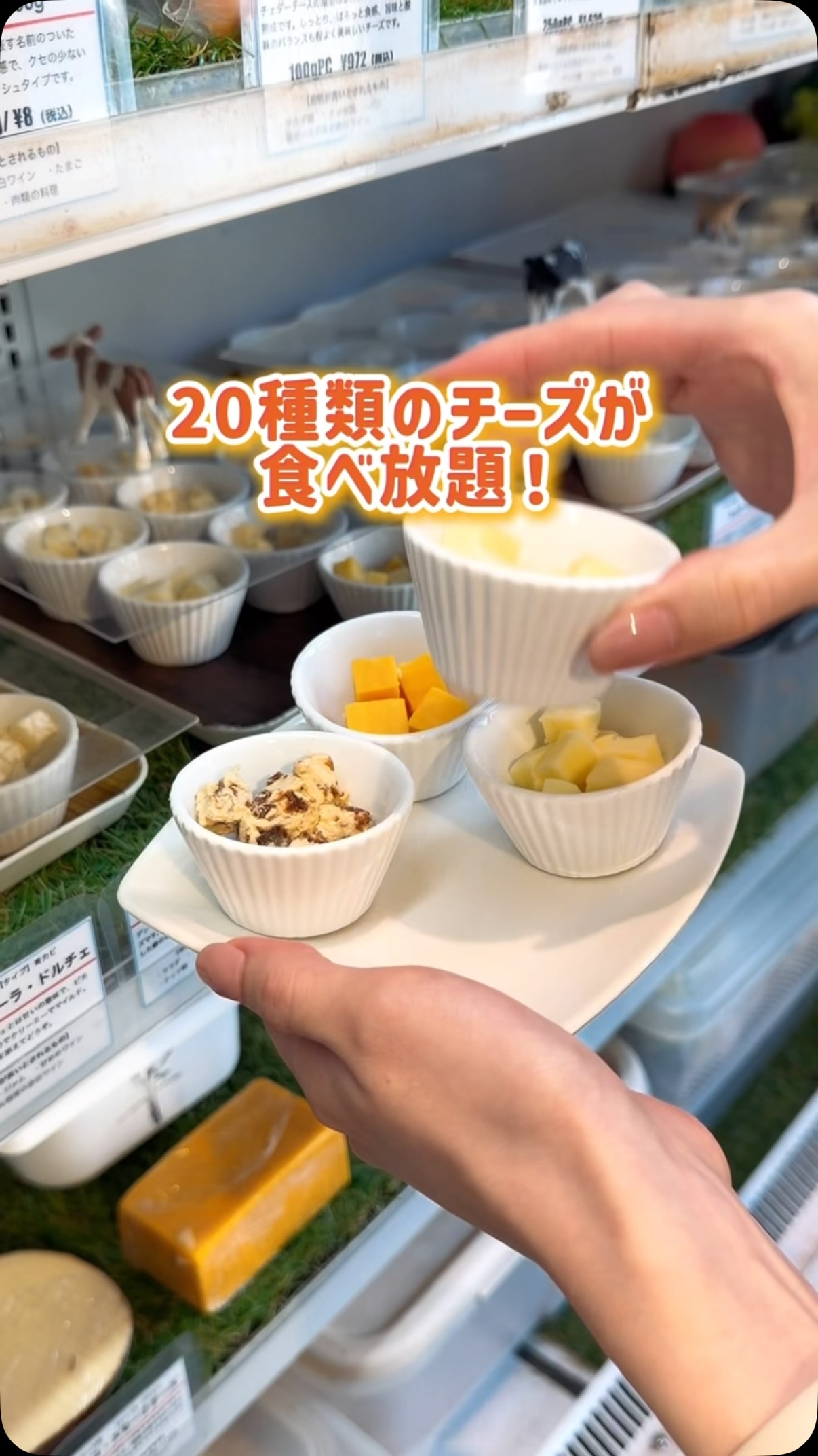 🧀チーズ好き必見！／ 20種類のチーズを好きなだけ楽しめるチーズ食べ