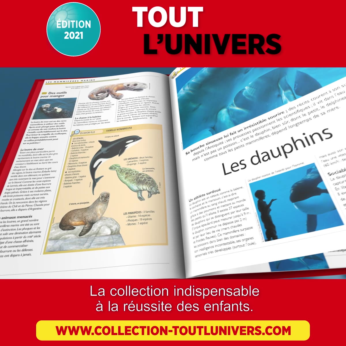 Tout L univers Hachette 2021 Combien De Numéro