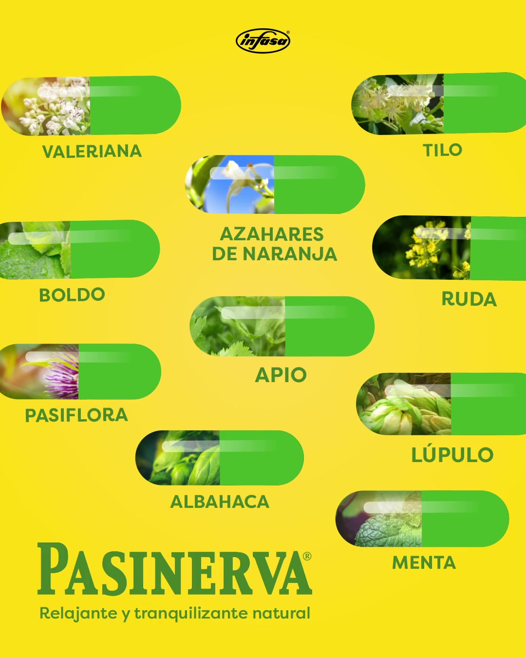 Los 10 componentes naturales de Pasinerva ayudan a: -Reducir el estrés ...