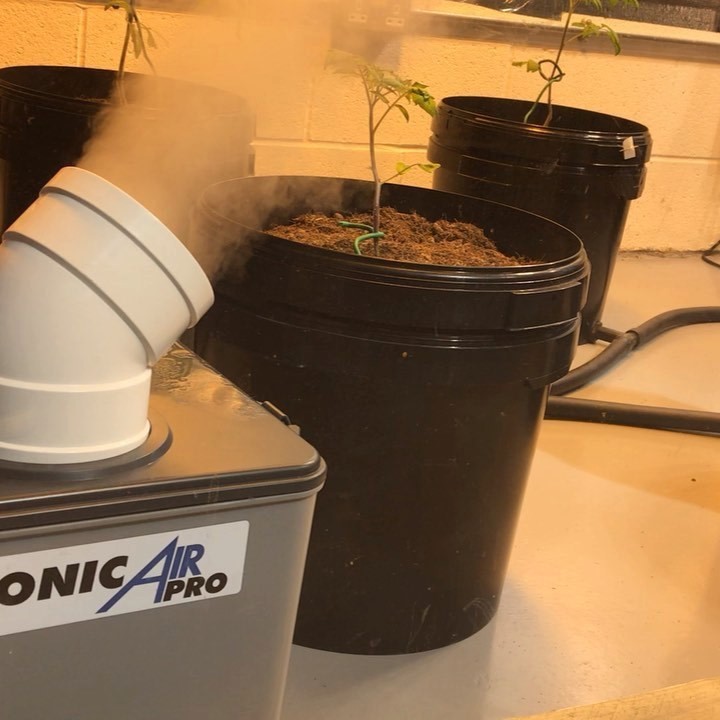 Sonic air pro humidifier in stock @calvertongreens , up to 6.5L/H, silent operation - will make any grow room an amazon forest! #letsgrowtogether | Calverton greens