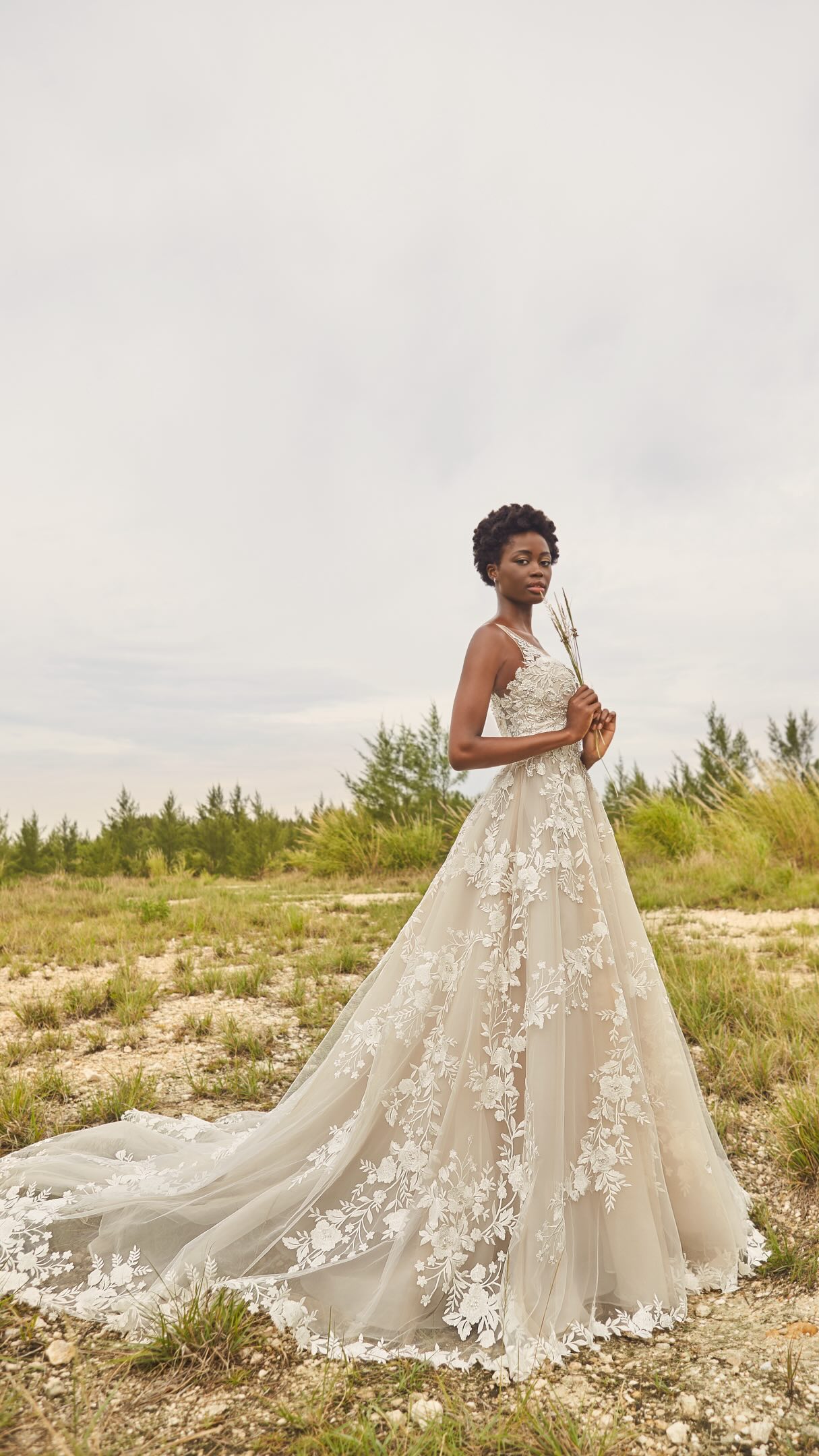 ✨🤍 𝐍𝐄𝐖 𝐀𝐑𝐑𝐈𝐕𝐀𝐋 🤍✨, 𝒜𝒷𝑒𝓁𝓁𝑒… the gown that feels like a modern-day fairytale! ✨🕊️, 🤍 Delicate pearl & crystal beaded lace appliqués, ✨ Soft, flowing A-line tulle silhouette, 🌸 A breathtaking illusion 