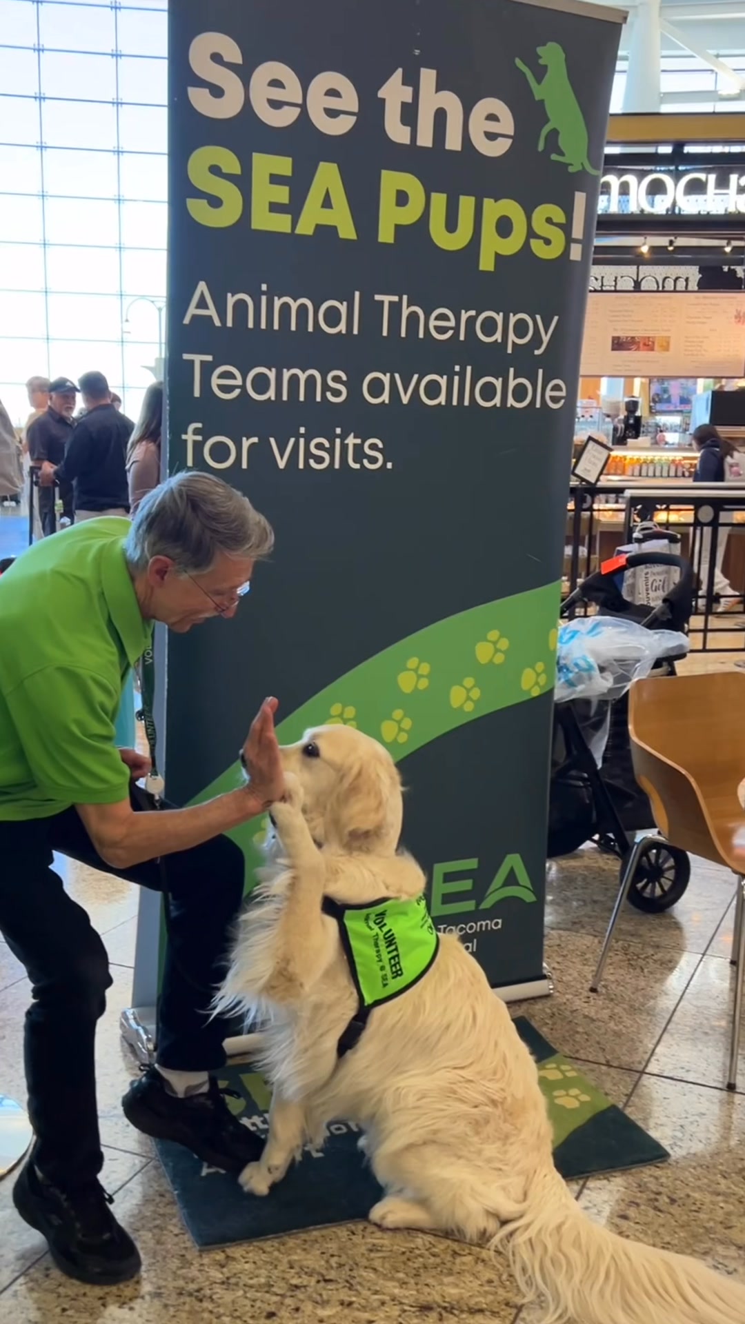 Holiday travel got you feeling ruff? 🐾 Our SEA Pups are on deck to ...