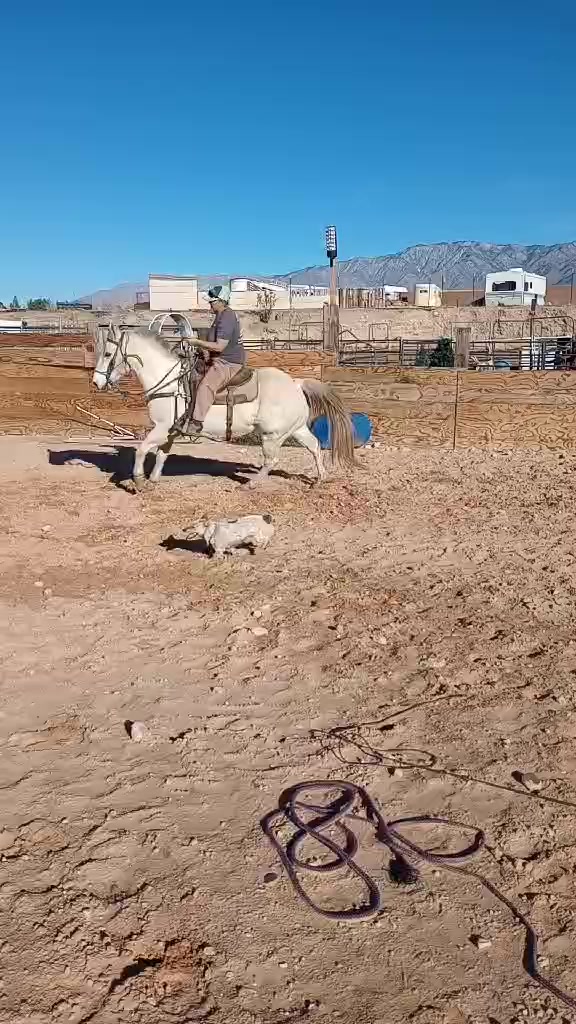 Broke Pocket Ranch on Reels | Facebook