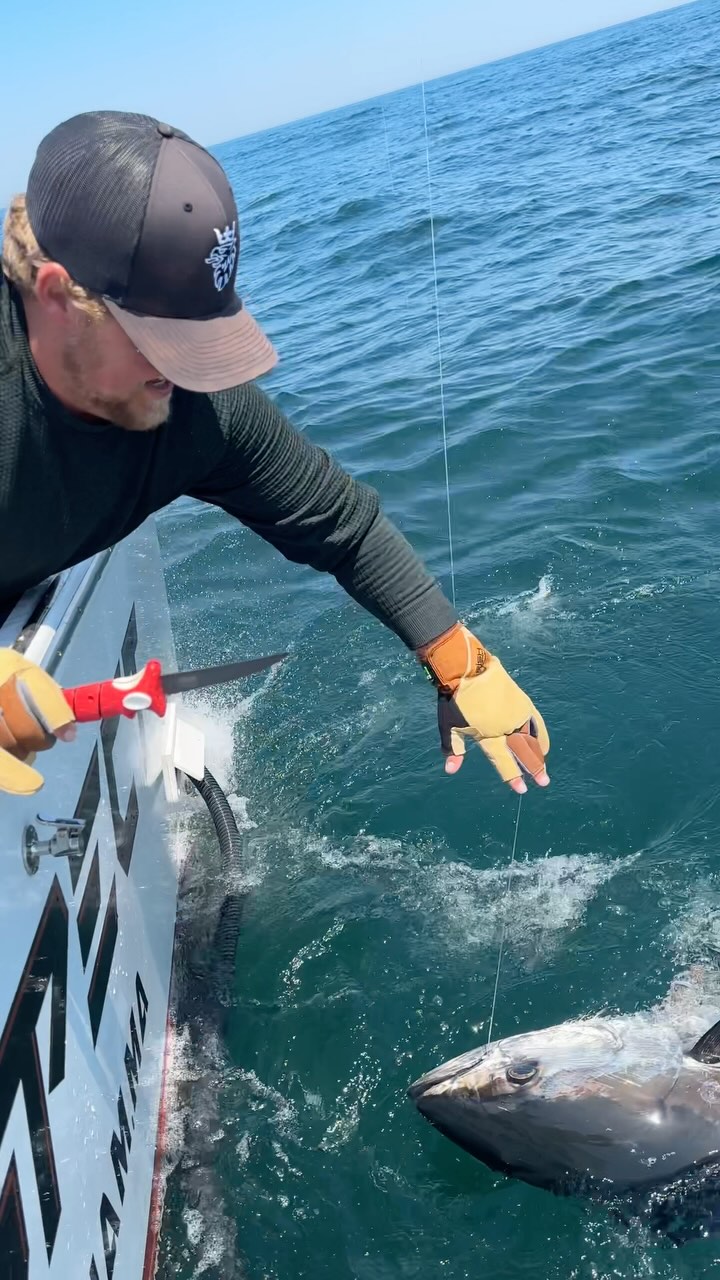 118” 946 lbs Giant Bluefin Tuna. | Jake Hanlon | 👨‍ ️Captain | Facebook