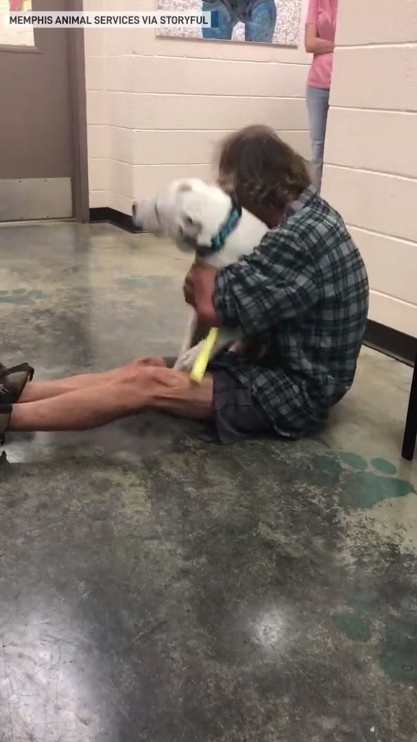 LOVING AND HEARTWARMING VIDEO... - Sammy the Cocker Spaniel