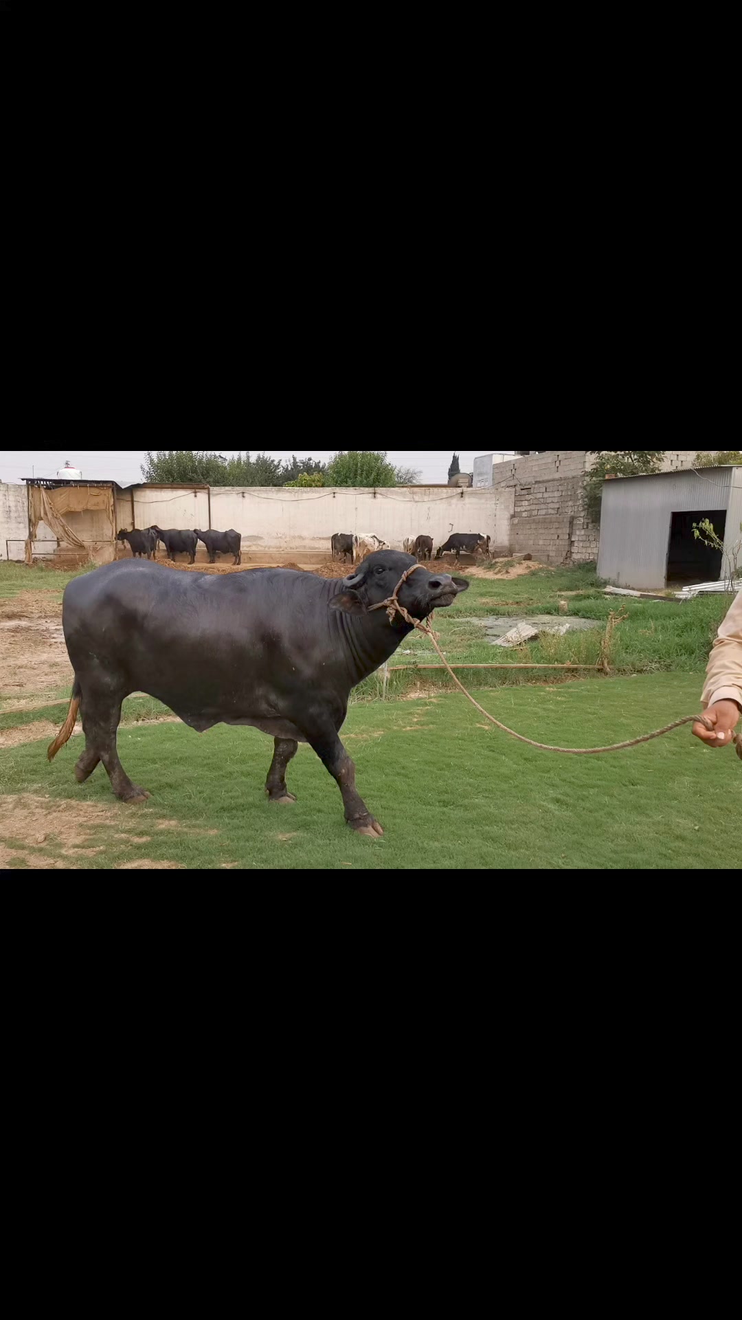 H&R Dairies | Islamabad