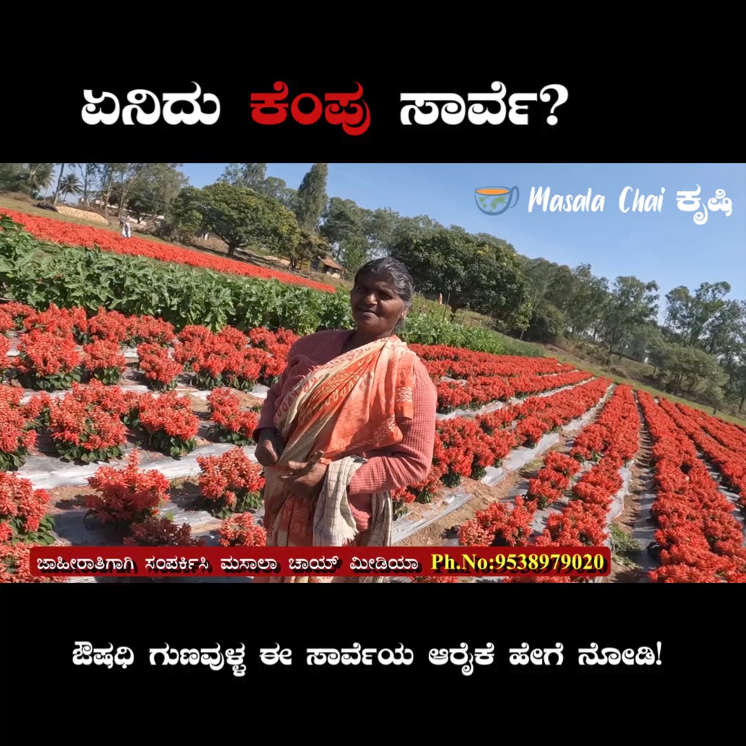 Karnataka Circle