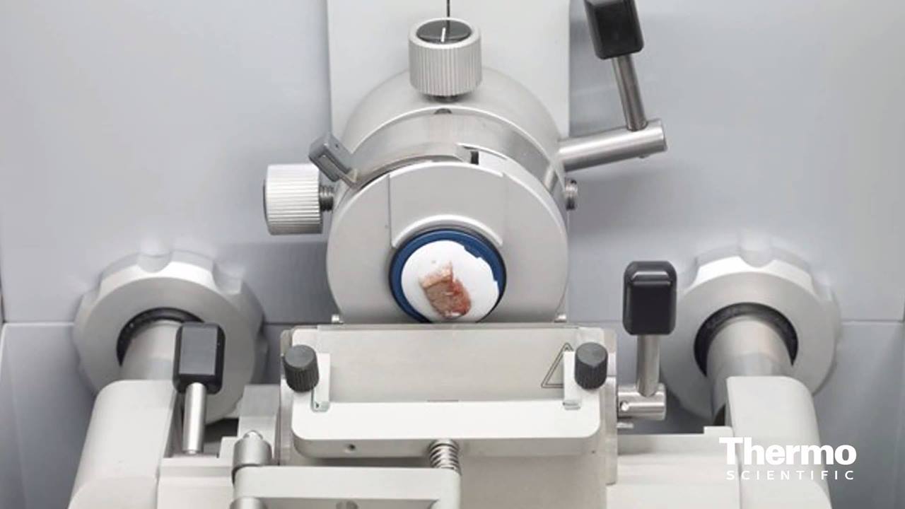 Immunohistochemistry expert Tyler Liebig highlights how the new series ...