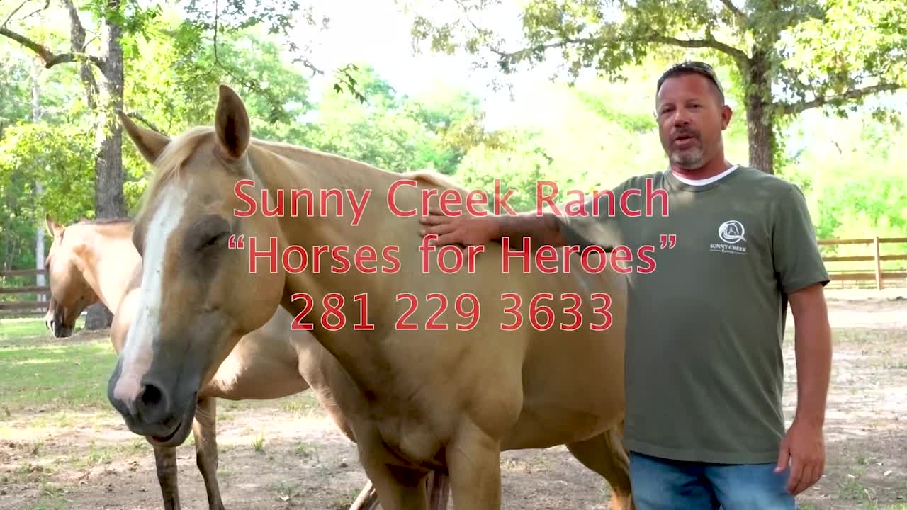 Sunny Creek Ranch Horses For Heroes