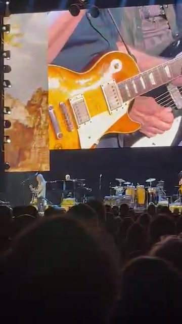 Joe Walsh performs 