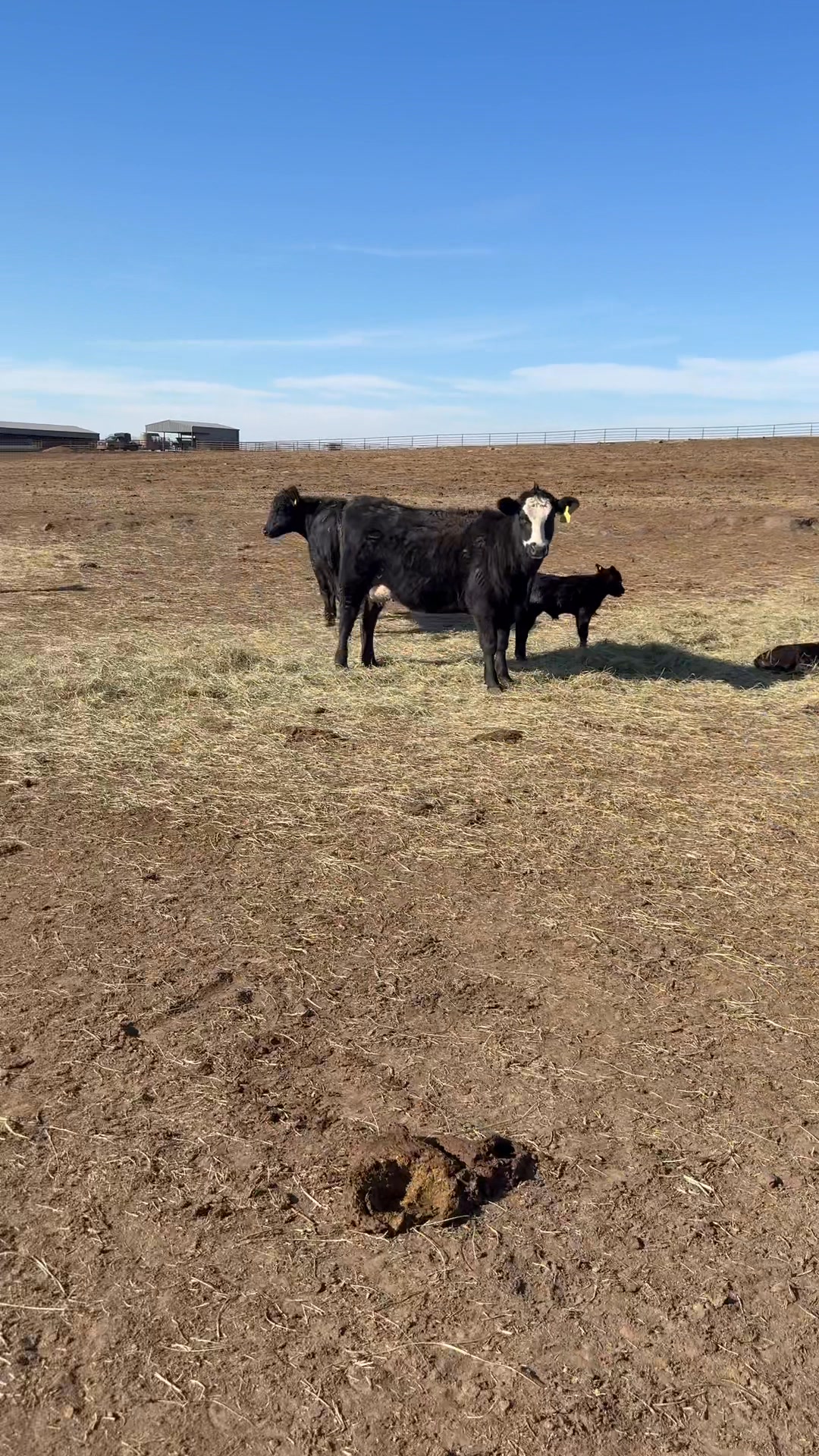 Gray G Bar Ranch | Grainola OK