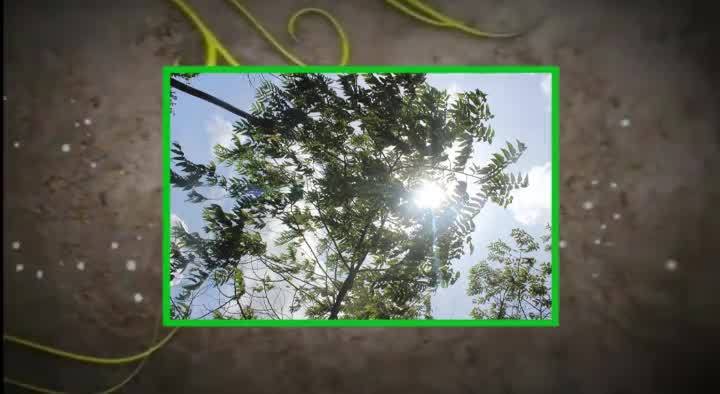 Samar Farm | Maragua