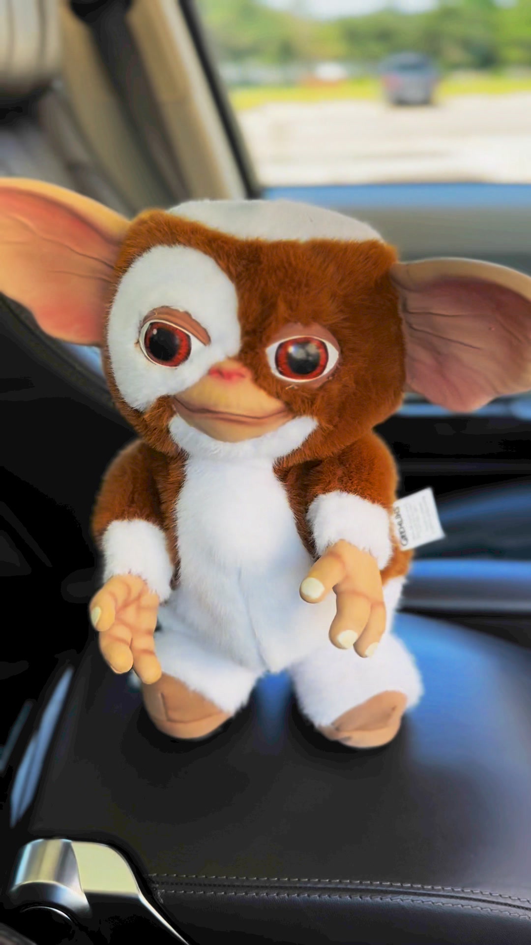 Gizmo looks like the usual sweet Mogwai, with those gentle eyes