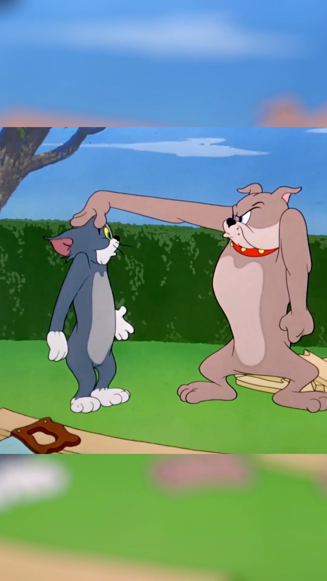 wonder what shape tom will end up as this time #TomandJerry85 | Tom and ...