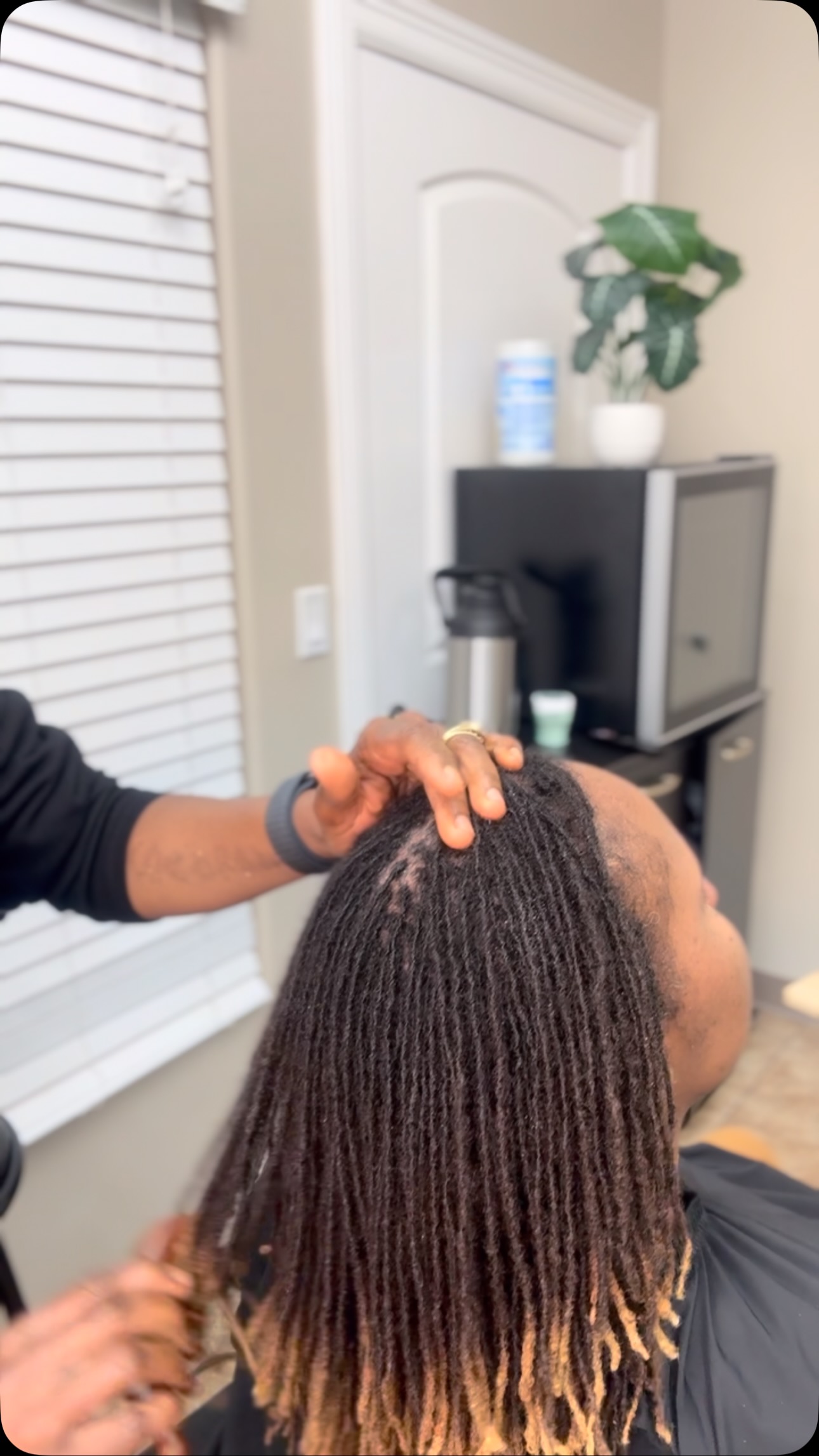 Rootlocks _Fresh retighten and style #rootlocks #loc #microlocsjourney ...