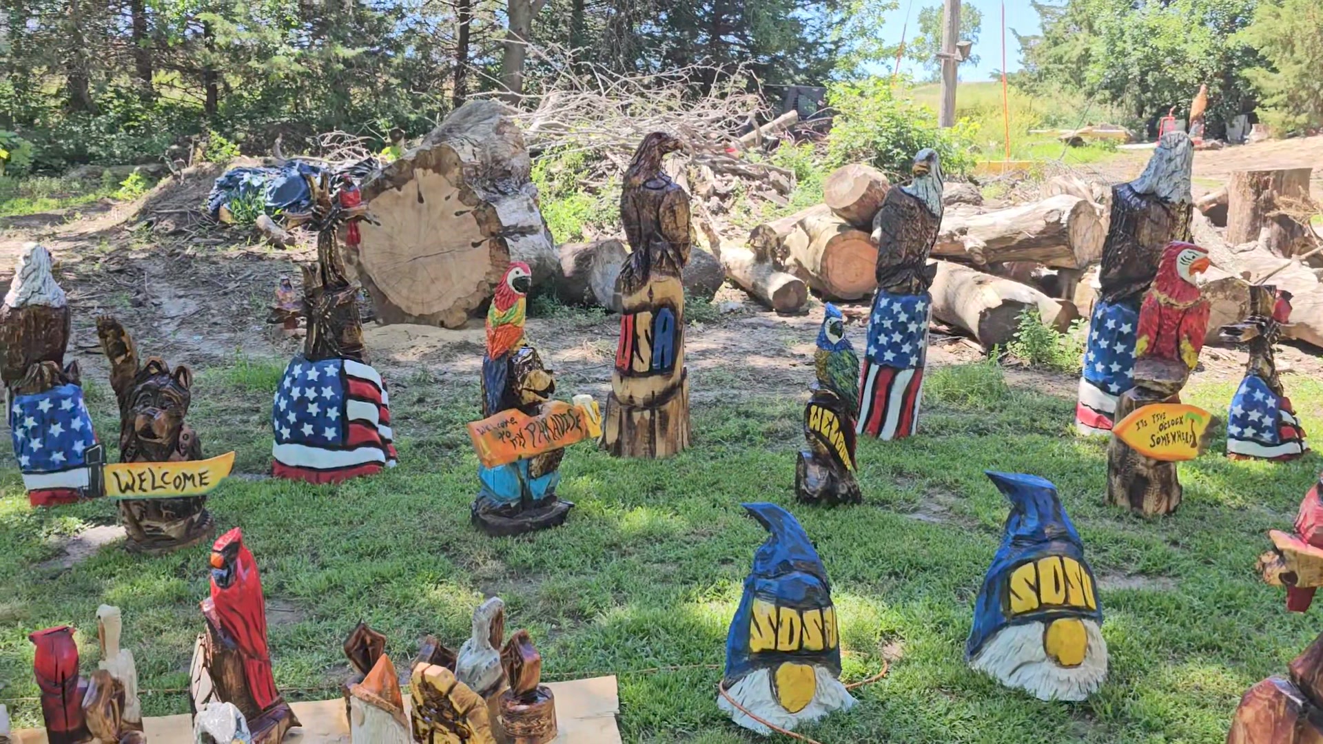 Northwest Iowa Extreme Chainsaw Artists | Westfield IA