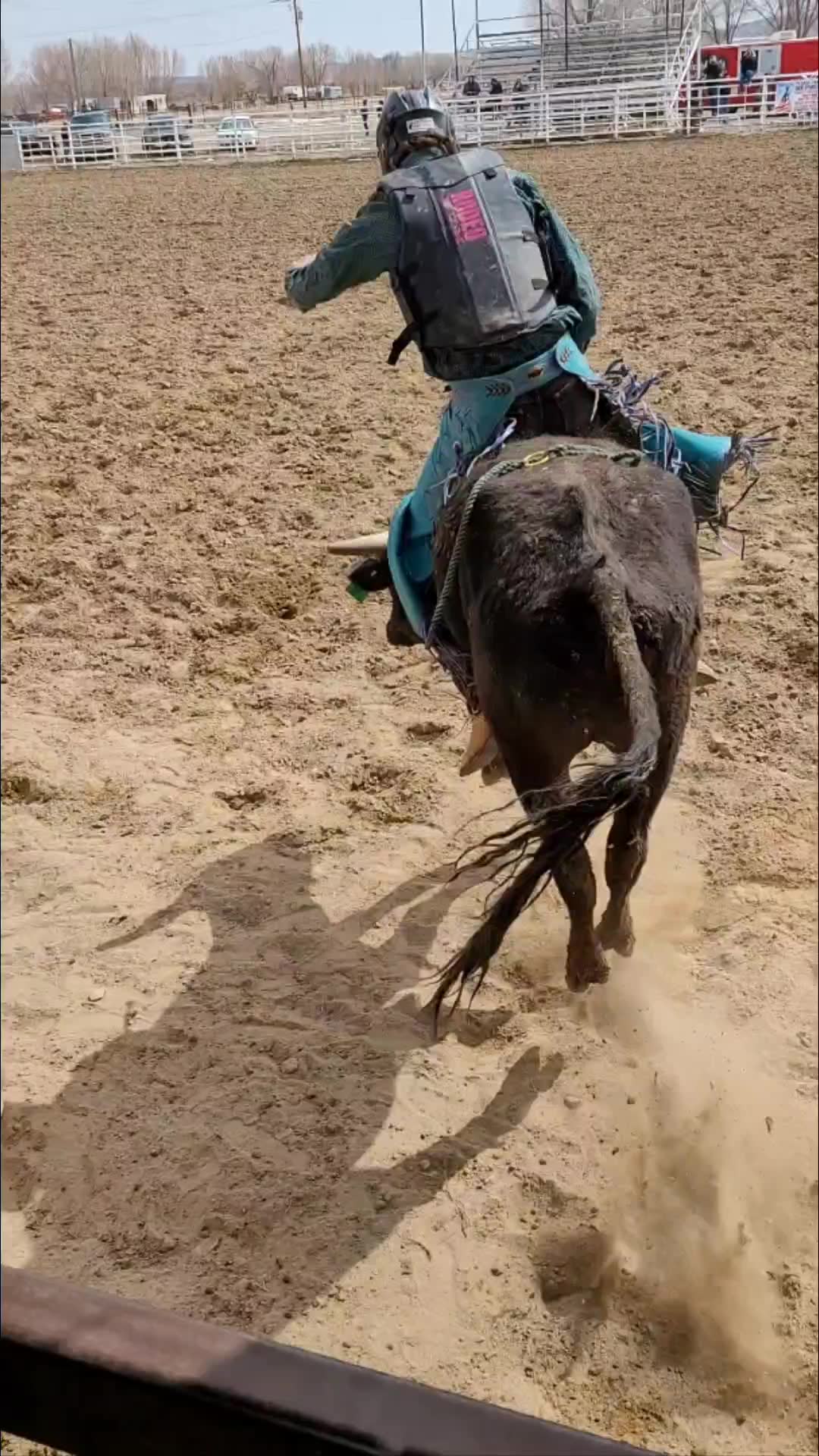 Running C Cattle Co and Bucking Bulls